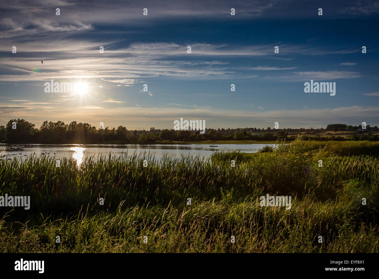 Sunset over Summer Leys Nature Reserve Stock Photo