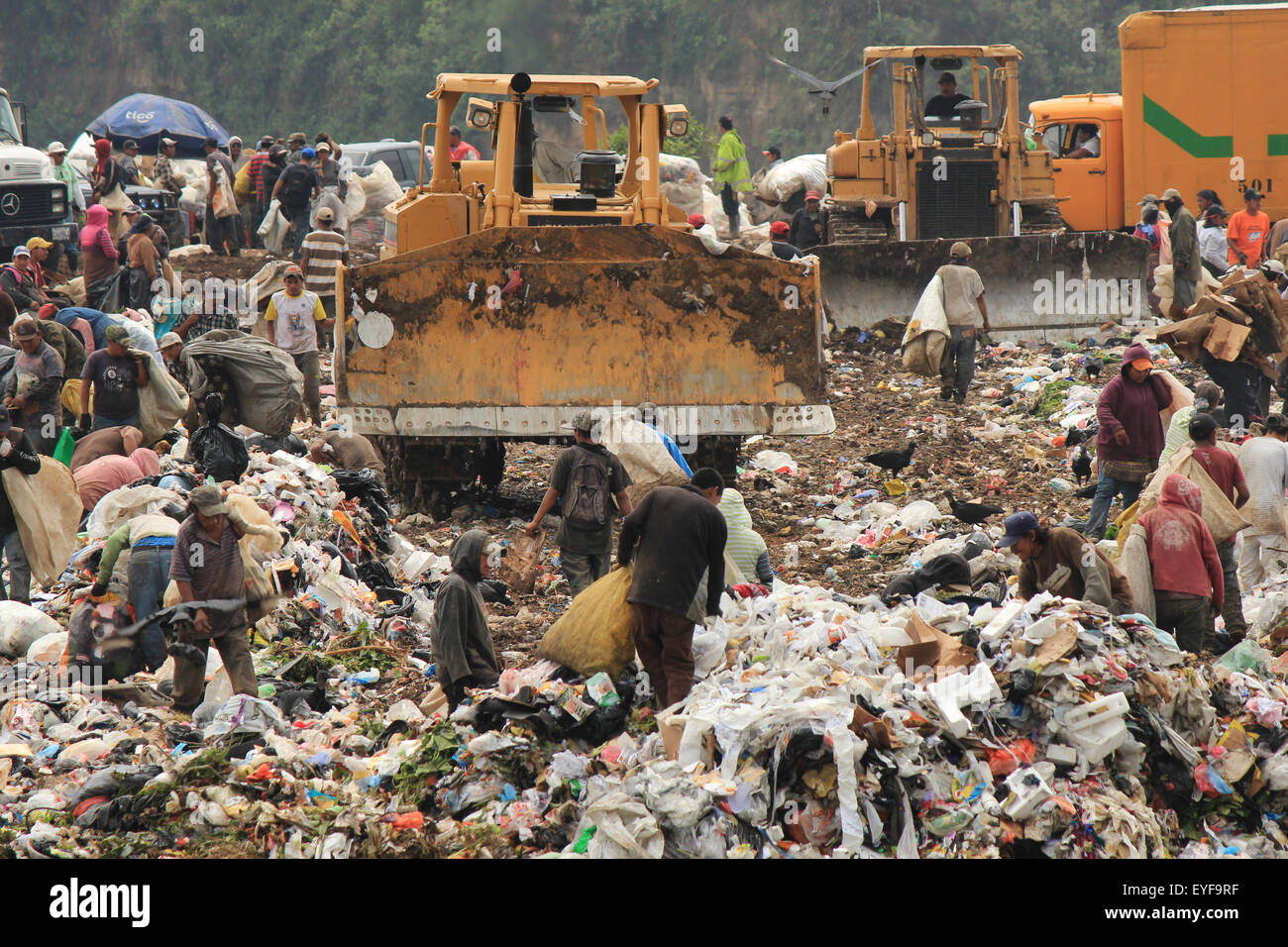 Landfill in Guatemala City. Activity of unloading garbage trucks and