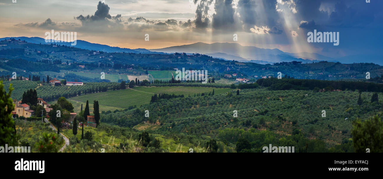 Sunbeams through the clouds over vineyards; Capanuccia, Florence, Italy Stock Photo