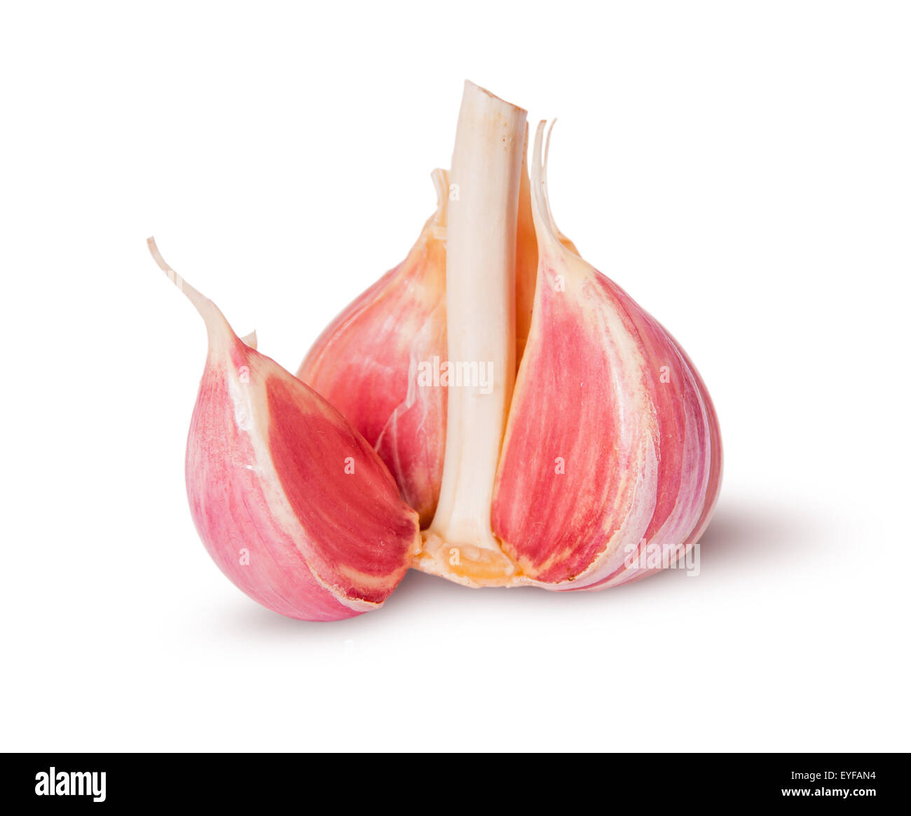 Young fresh garlic isolated on white background Stock Photo