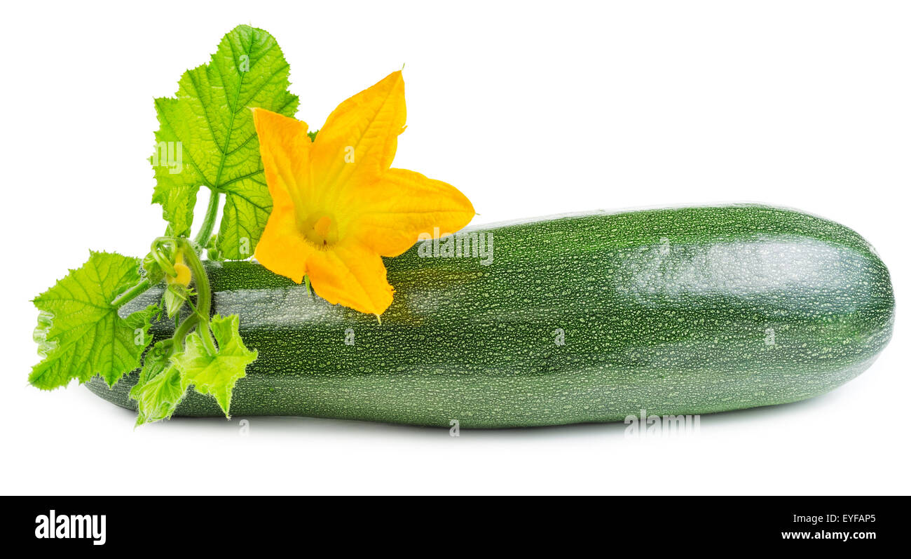 Fresh raw zucchini with flower isolated on white background. Courgettes