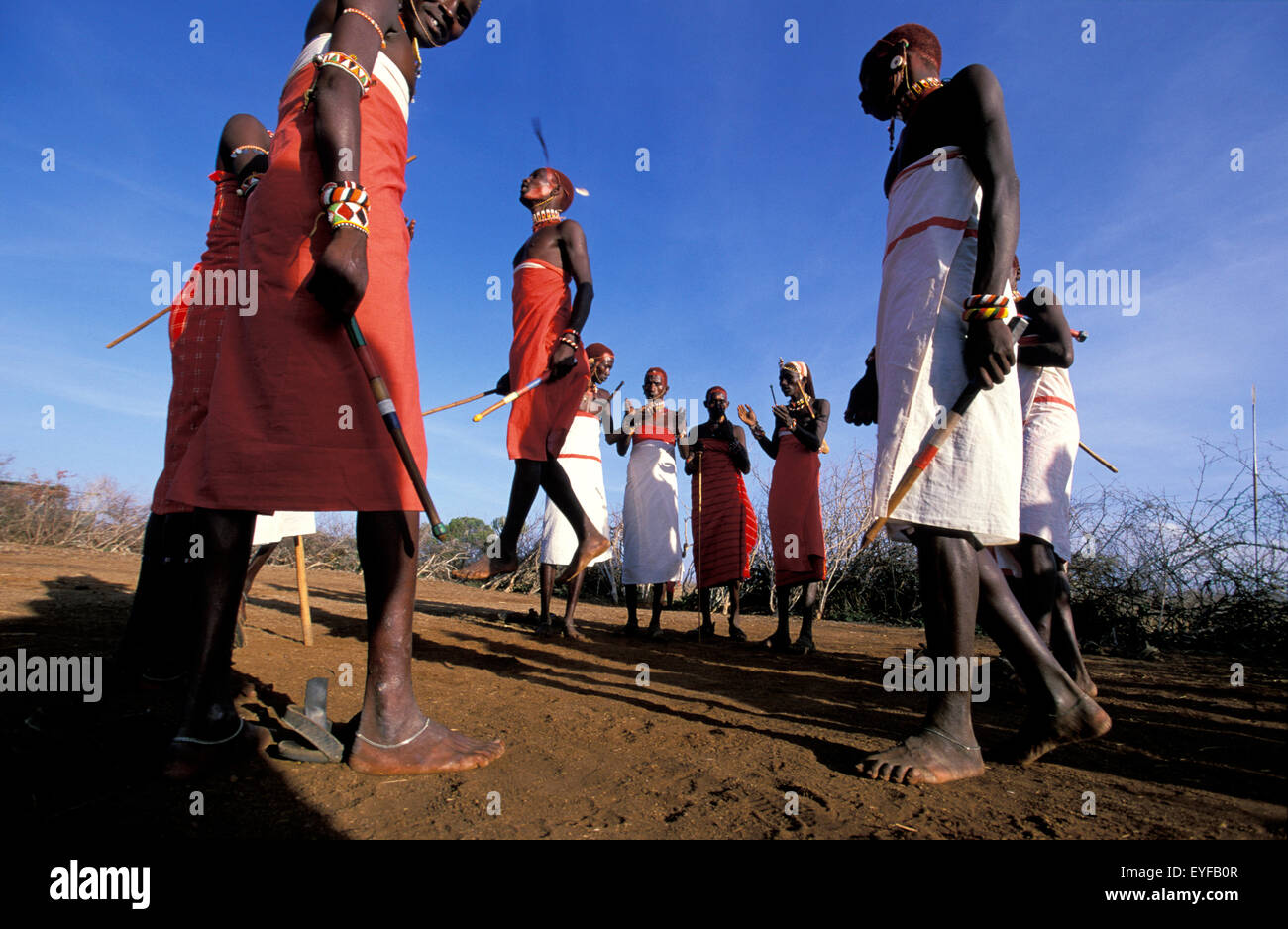 Courtship Dances, Samburu Tribe In Traditional Dress, Laikipia Plateau, Kenya Stock Photo