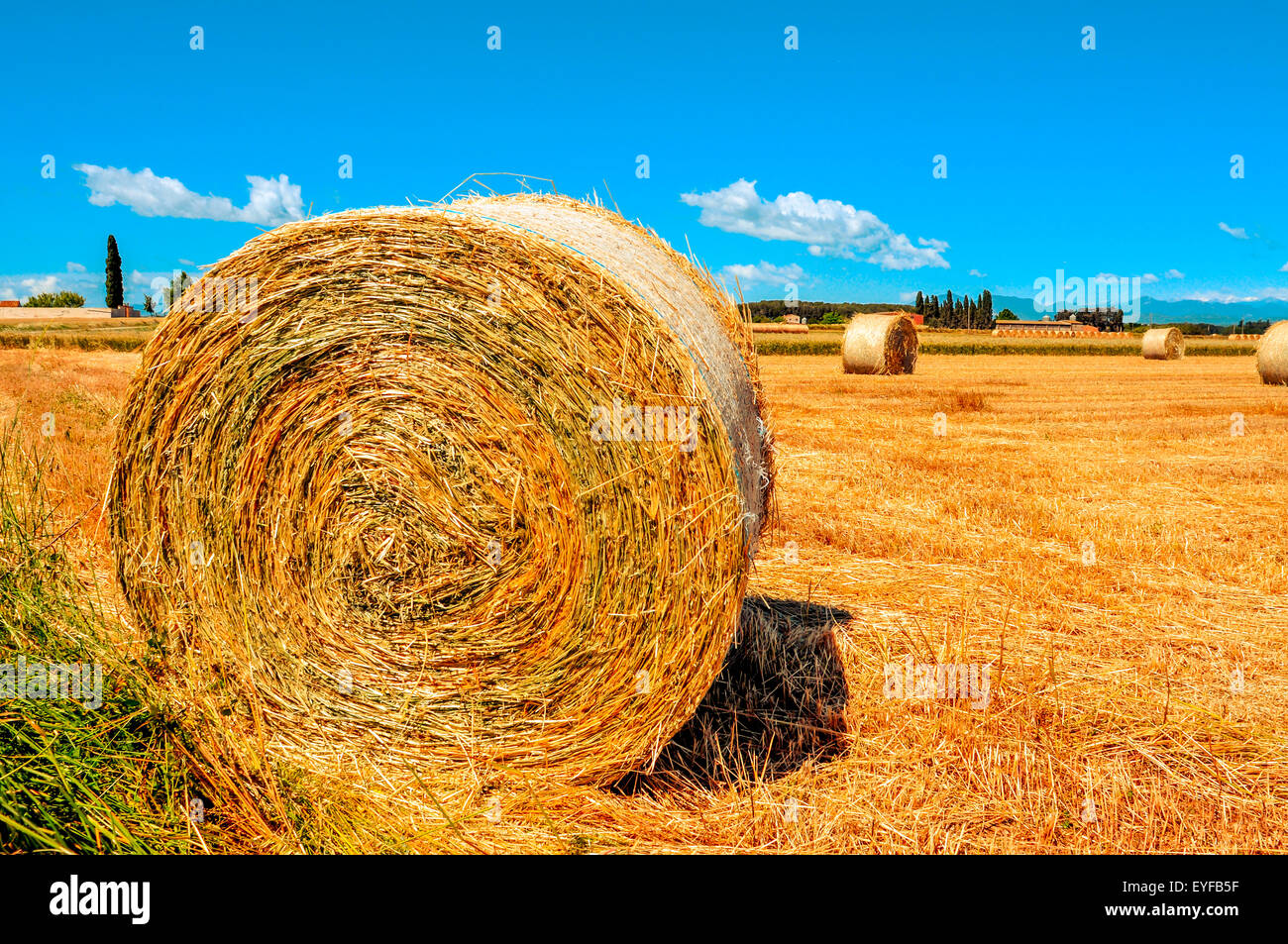 a crop field in Spain with some large round straw bales after harvesting Stock Photo