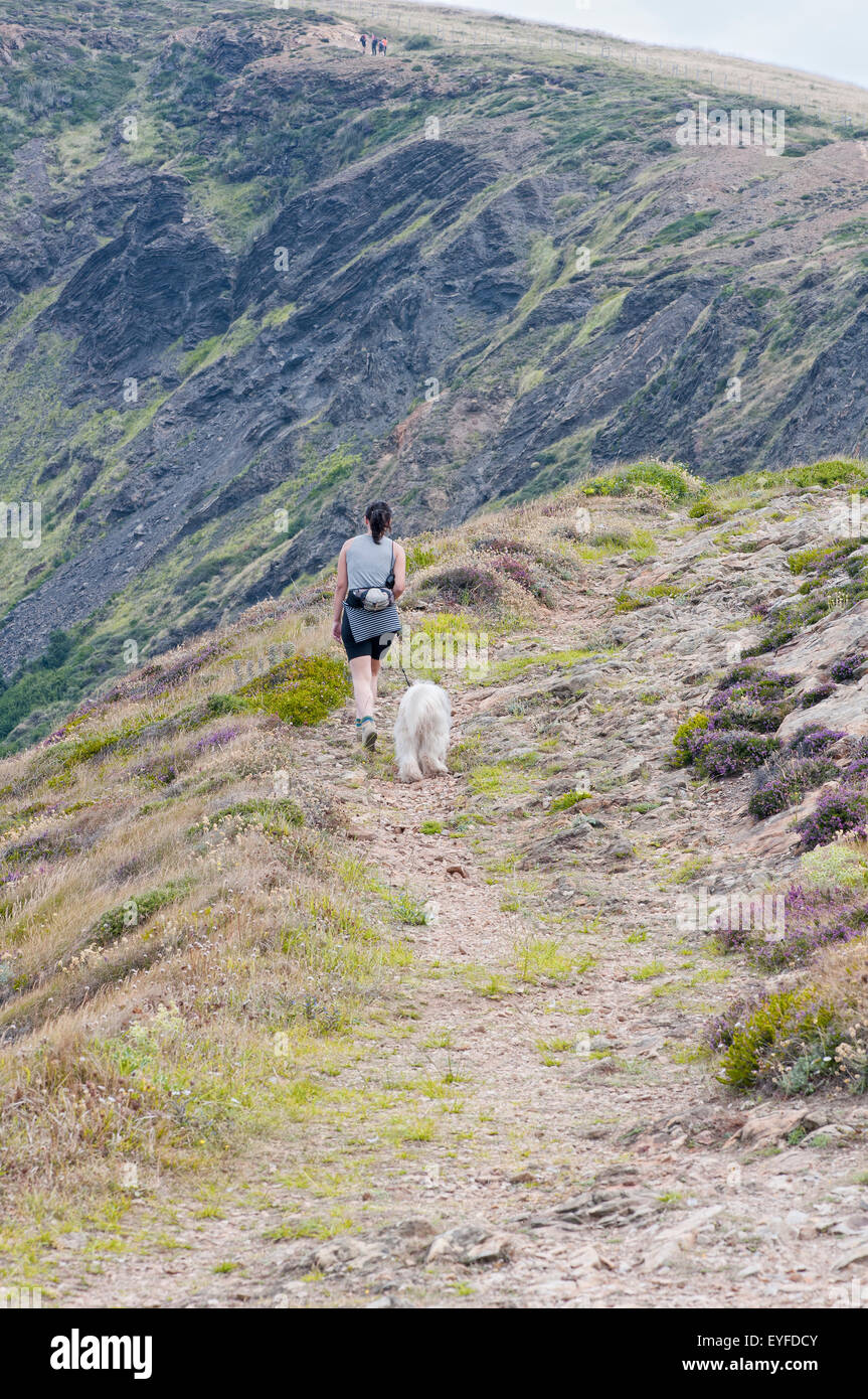 Hiking with a dog hi-res stock photography and images - Alamy