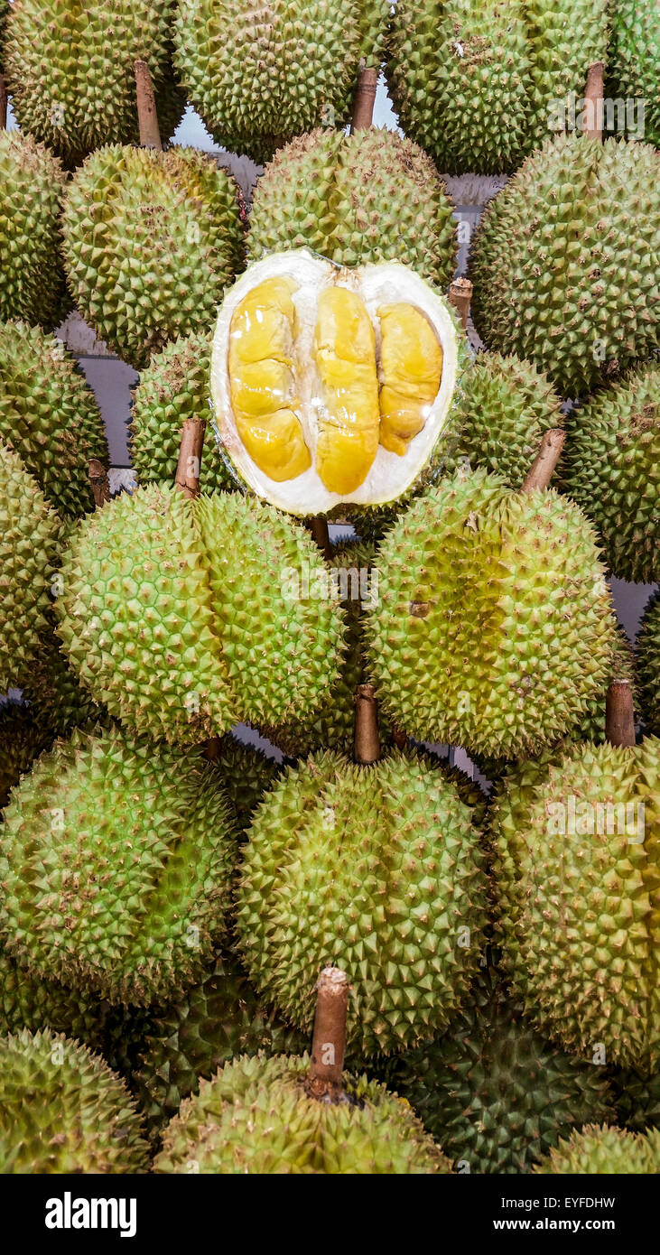 Famously smelly durian fruit, for sale at a night market in Singapore. The sickly sweet smell from this fruit is so intense, it Stock Photo