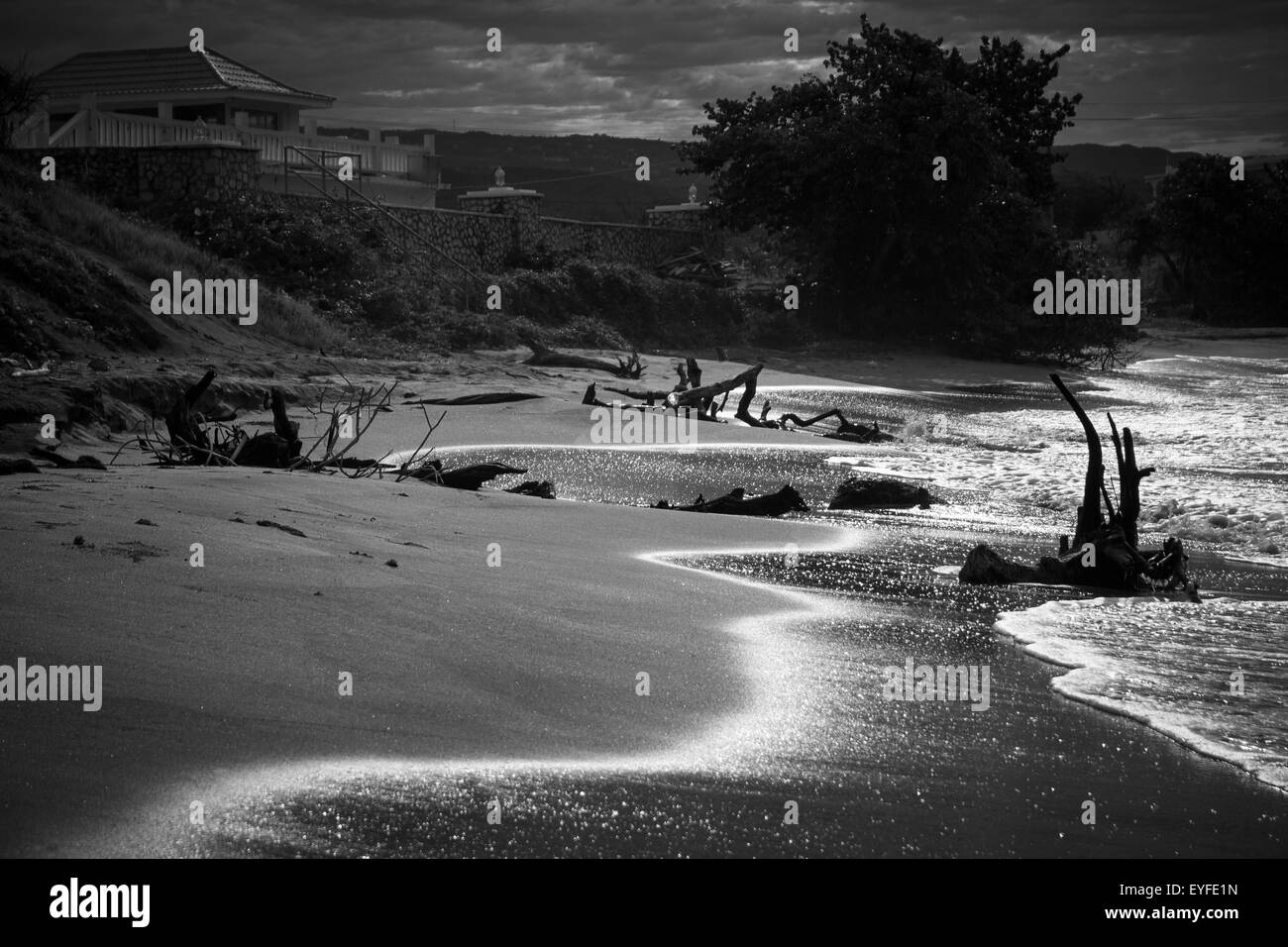 Treasure Beach, Jamaica - Black and White Stock Photo
