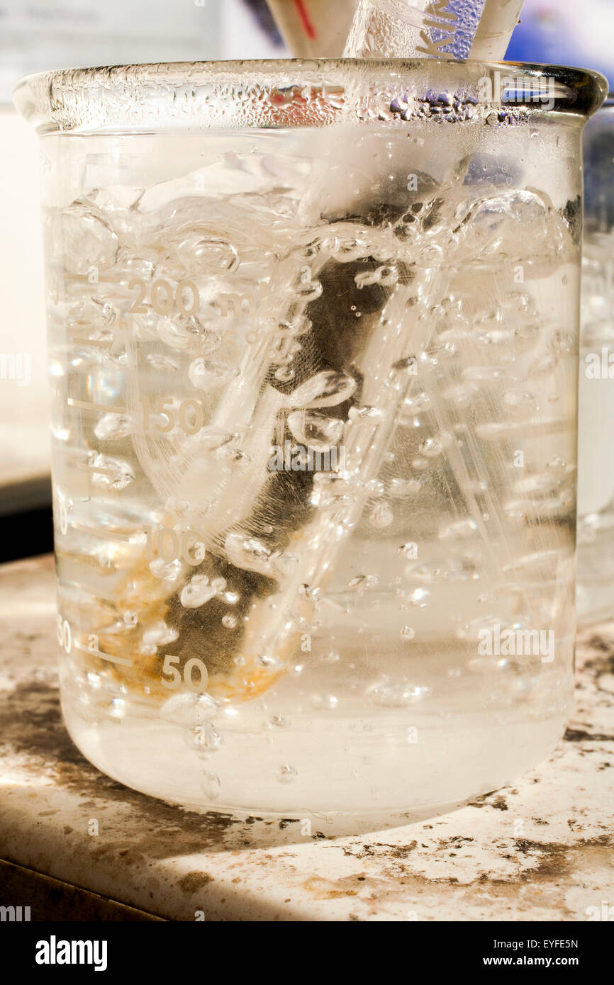 A metal substance sample is boiled in a test tube to ascertain its identity of a metal via heat transfer to induce chemical change as an example of calorimetry, the measuring of changes in state variables of a body for the purpose of deriving the heat transfer associated with changes of its state due to chemical reactions or physical changes Stock Photo