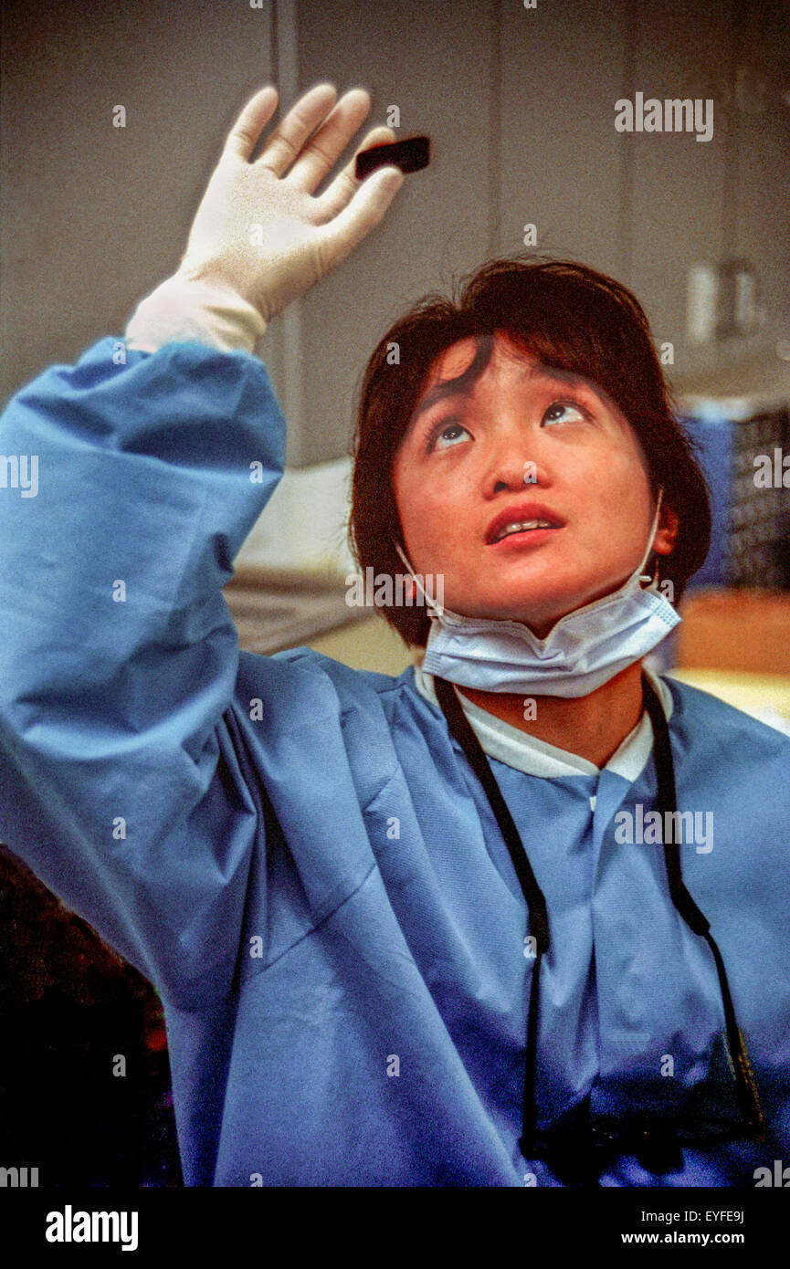 An Asian American volunteer dentist checks a patient x-ray at a free charity dental clinic in Costa Mesa, CA. Note face mask and scrubs. Stock Photo