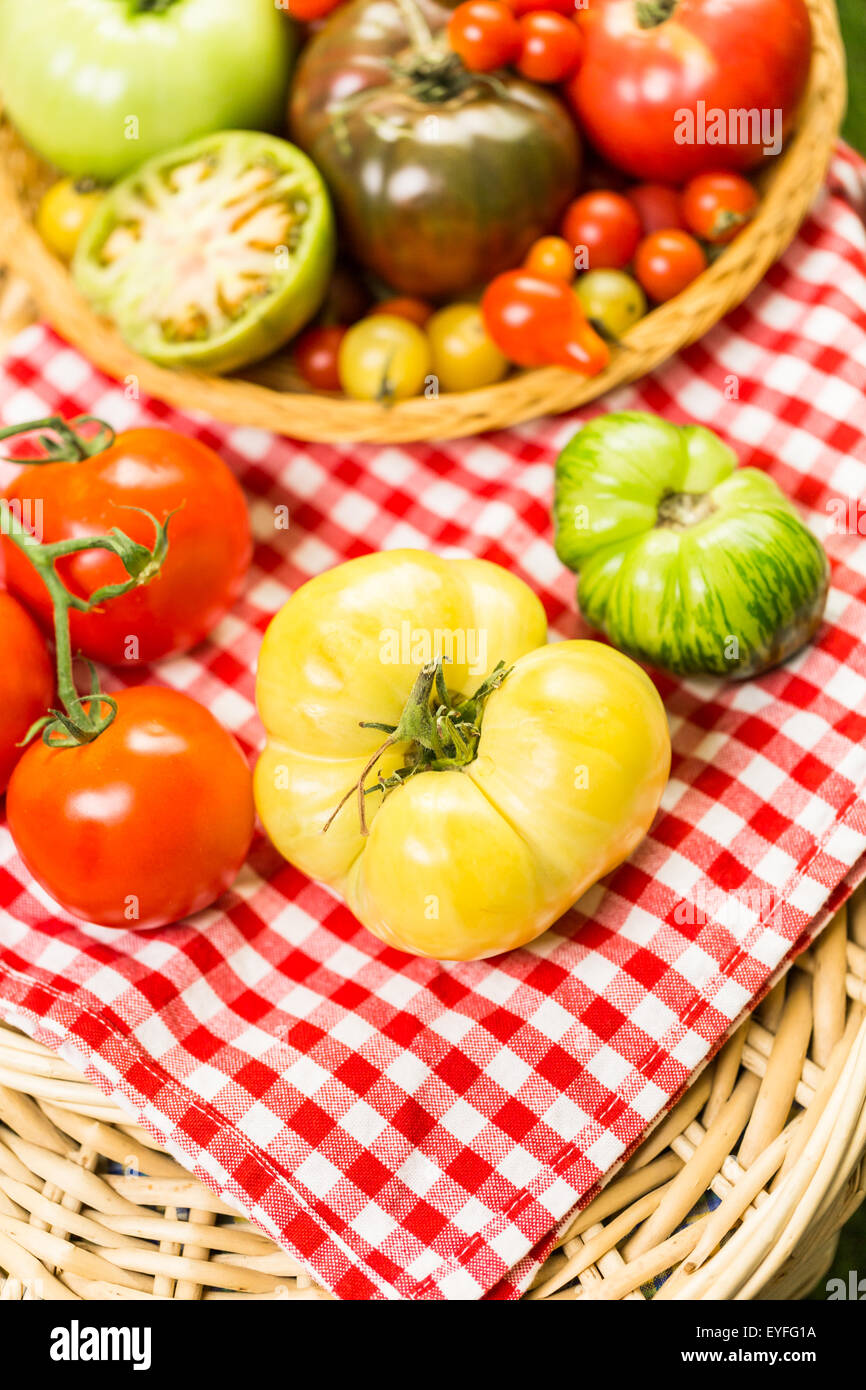 Freshly Picked Heirloom Tomatoes From The Backyard Farm Stock