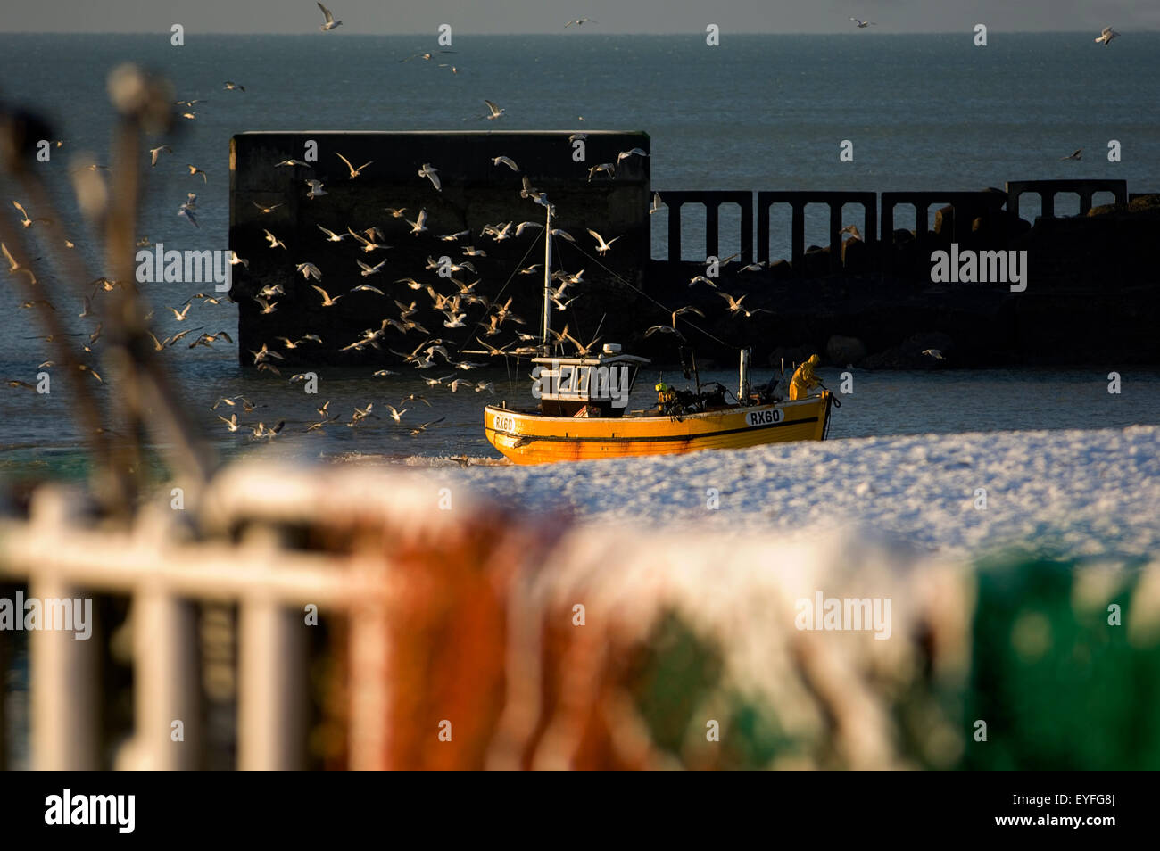 Birds following fishing boat hires stock photography and images Alamy