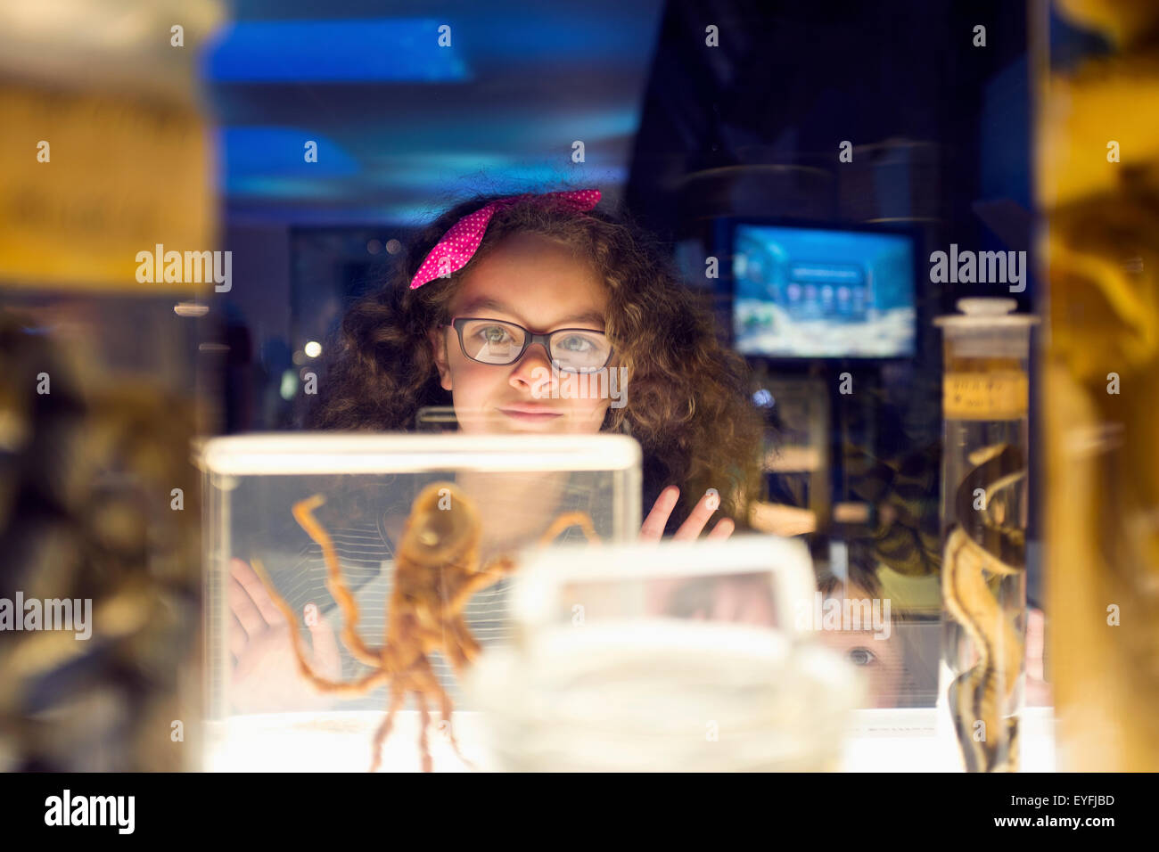 7 year old girl and her little brother looking at exhibits in glass containers at The Natural History Museum in London. Stock Photo