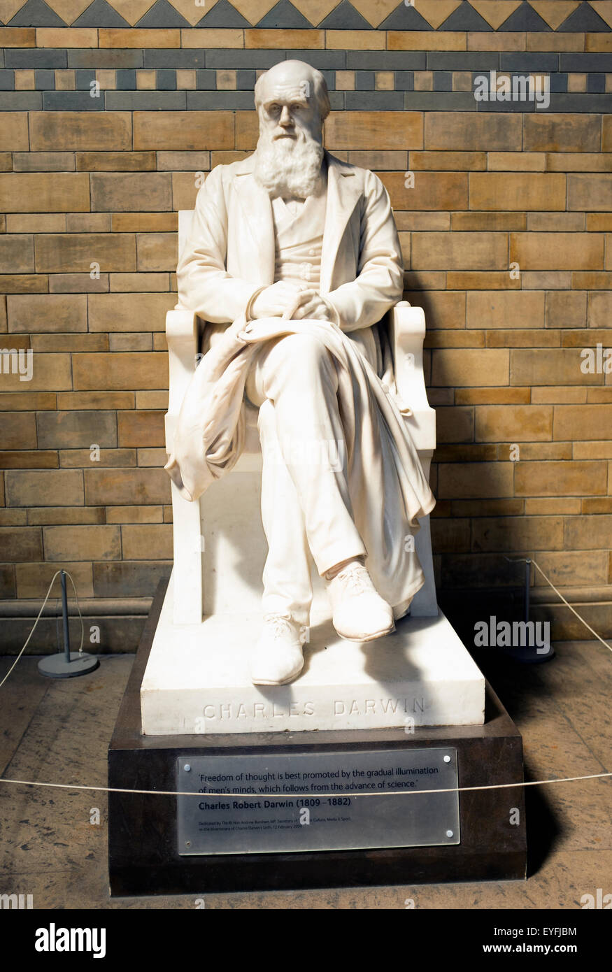 Statue of charles darwin at the natural history museum hires stock photography and images Alamy