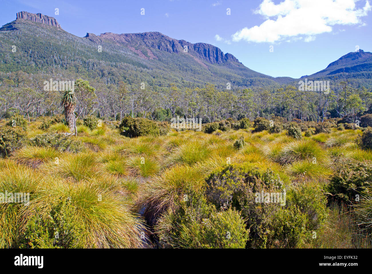 View from Frog Flats, the lowest point along the Overland Track, up to Mt Thetis and Mt Achilles Stock Photo