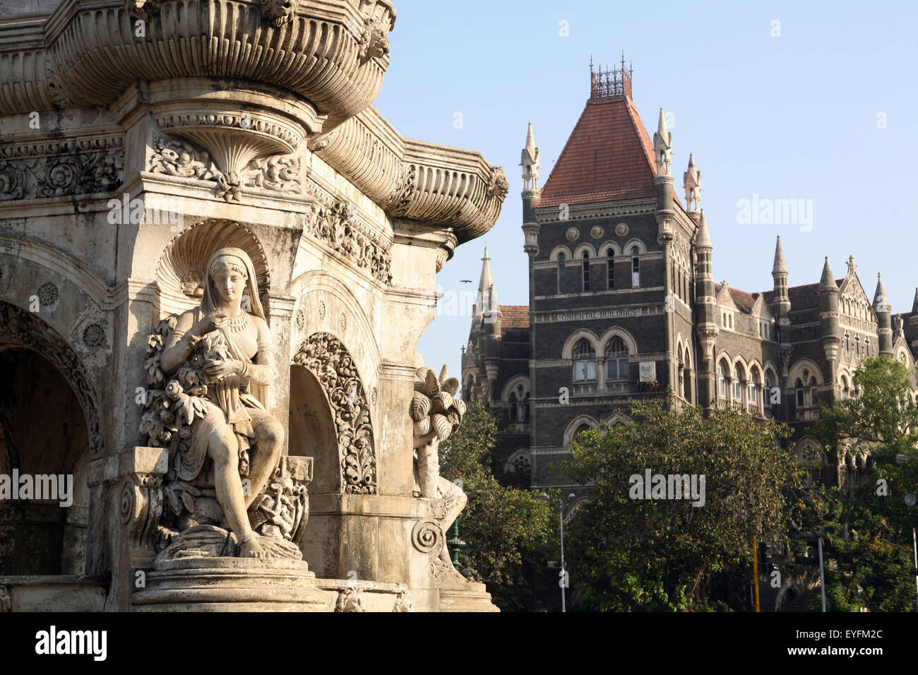 Flora of india hi-res stock photography and images - Alamy