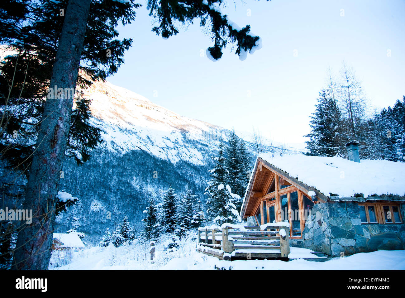 Winter Alpine Scenery With Mountains Snow And A Pine Forest With