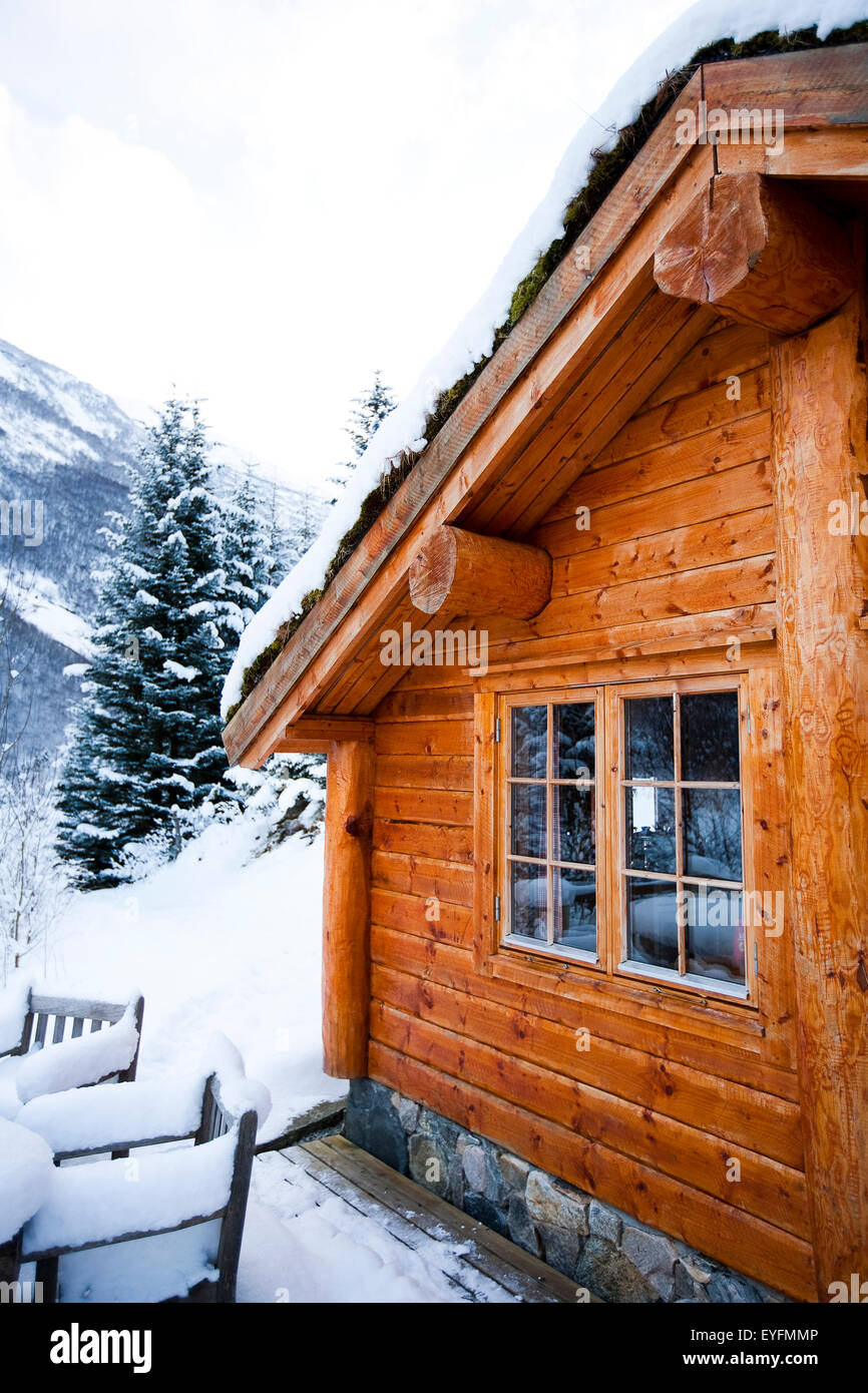 Winter Alpine Scenery With Mountains Snow And A Pine Forest With