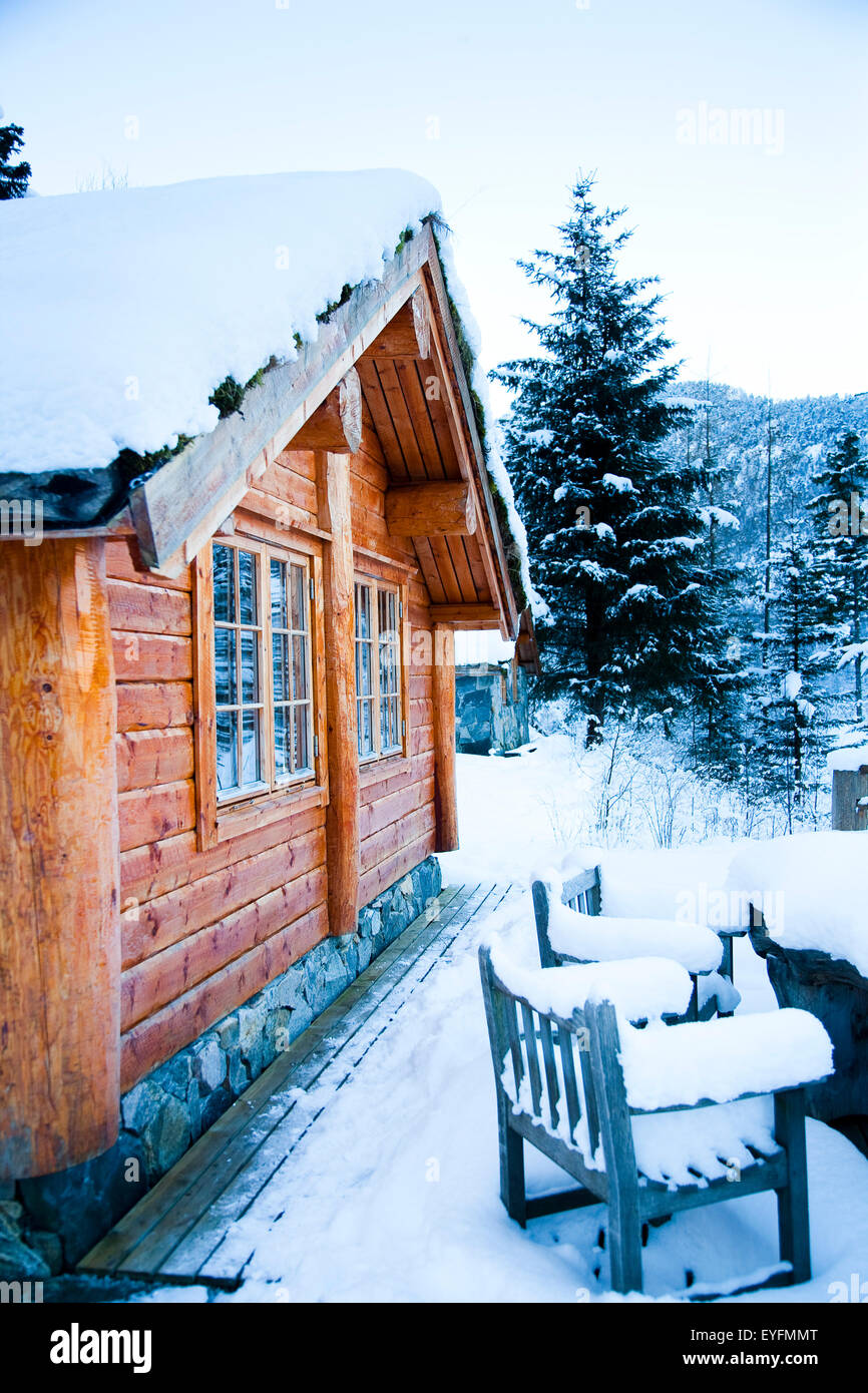 Winter Alpine Scenery With Mountains Snow And A Pine Forest With