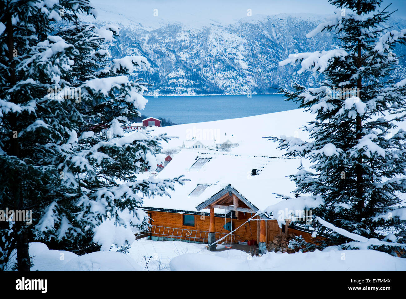 Winter Alpine Scenery With Mountains Snow And A Pine Forest With