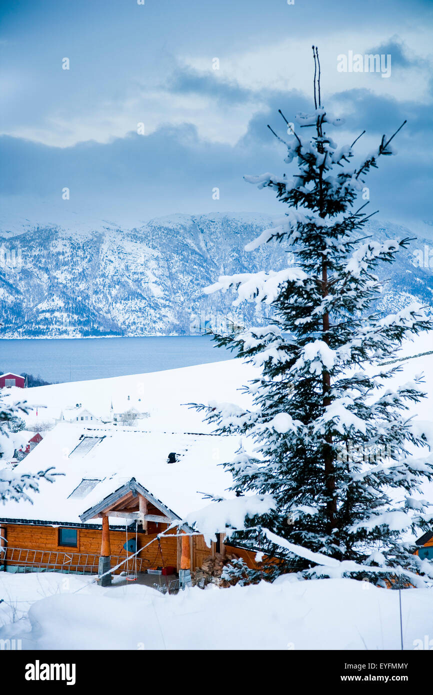 Winter Alpine Scenery With Mountains Snow And A Pine Forest With
