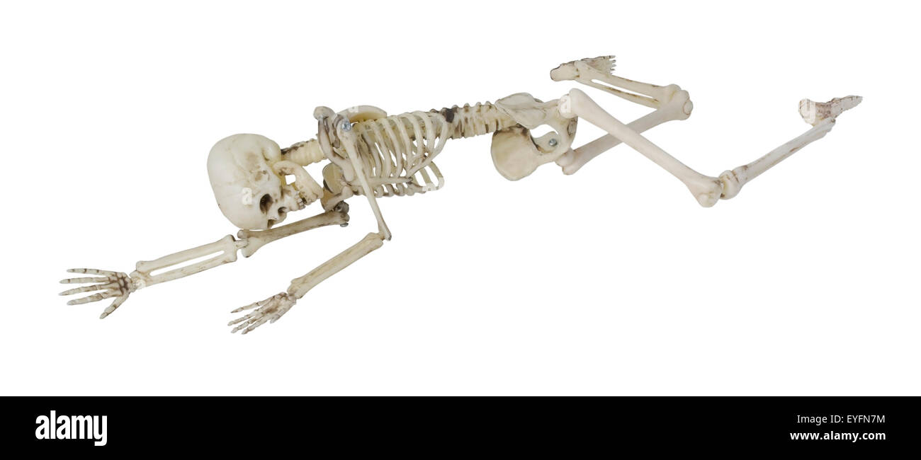 Skeleton laying partially prone and sideways, perhaps in the position the person died - path included Stock Photo