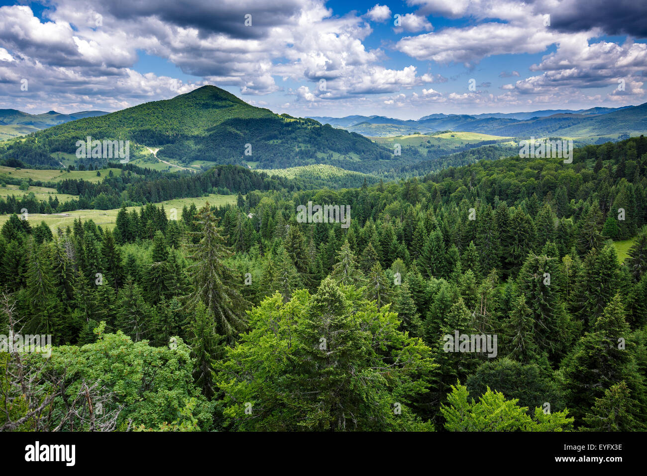 Aerial view of afforested mountains under a cloudy sky Stock Photo - Alamy