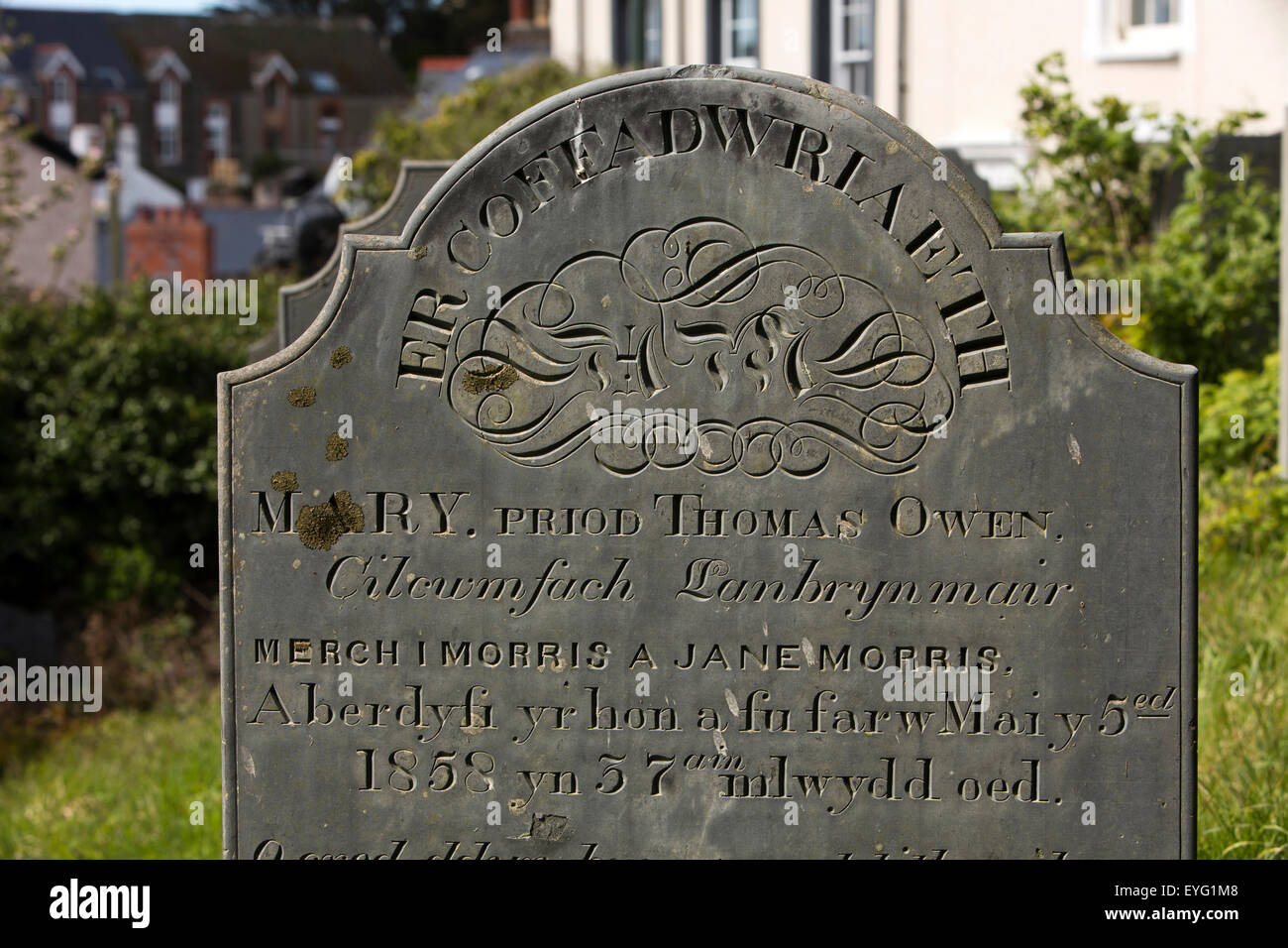 UK, Wales, Gwynedd, Aberdovey, slate Welsh language 1858 headstone in churchyard Stock Photo