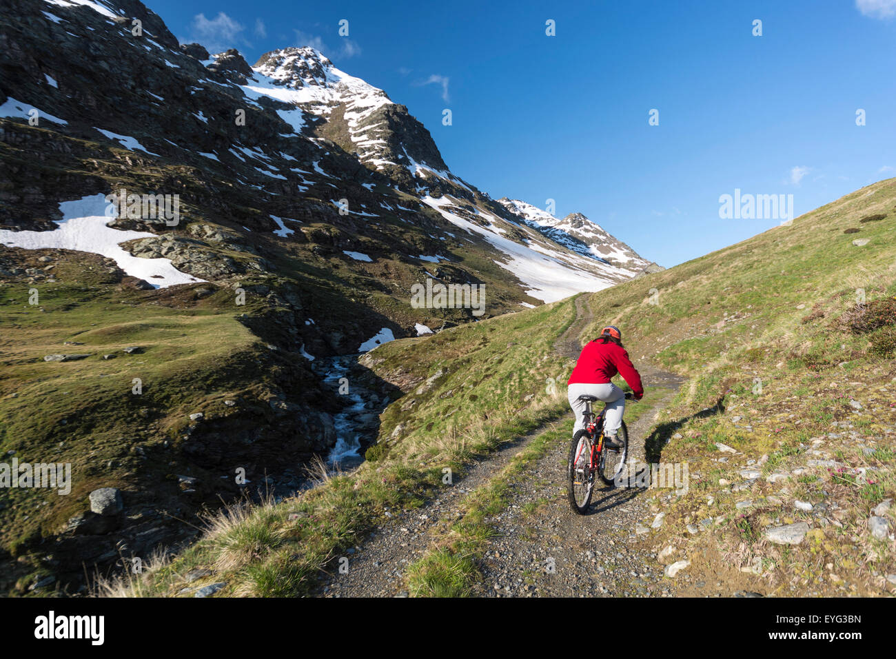 Italy Lombardy Stelvio National Park the Alps Rezzalo Valley cycle path bg.: Mt. Costa di Gavia Stock Photo