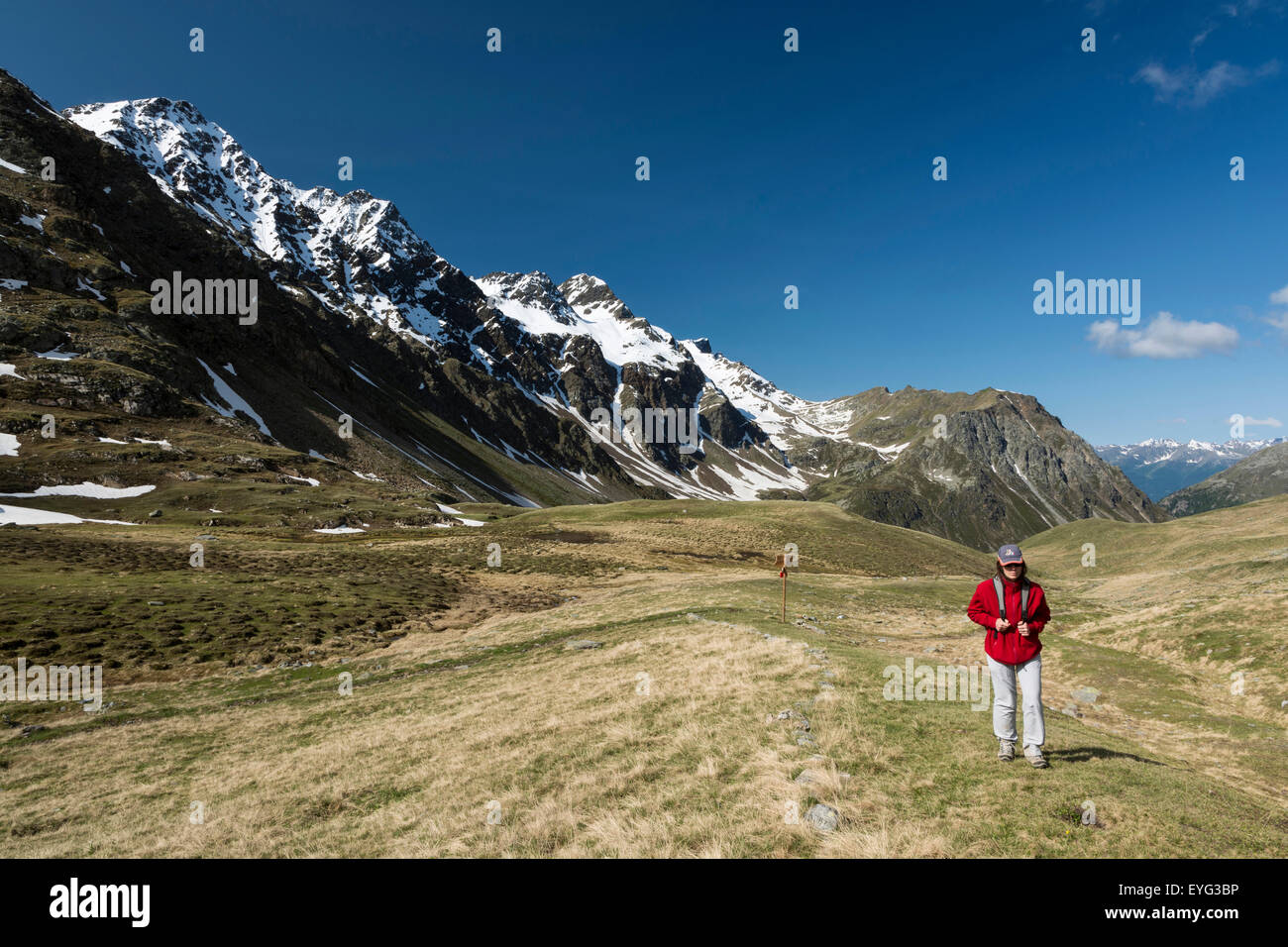 Italy Lombardy Stelvio National Park the Alps Rezzalo Valley cold in summertime at Alpe Pass 2461 mpeaks: Corno dei Becchi and Stock Photo