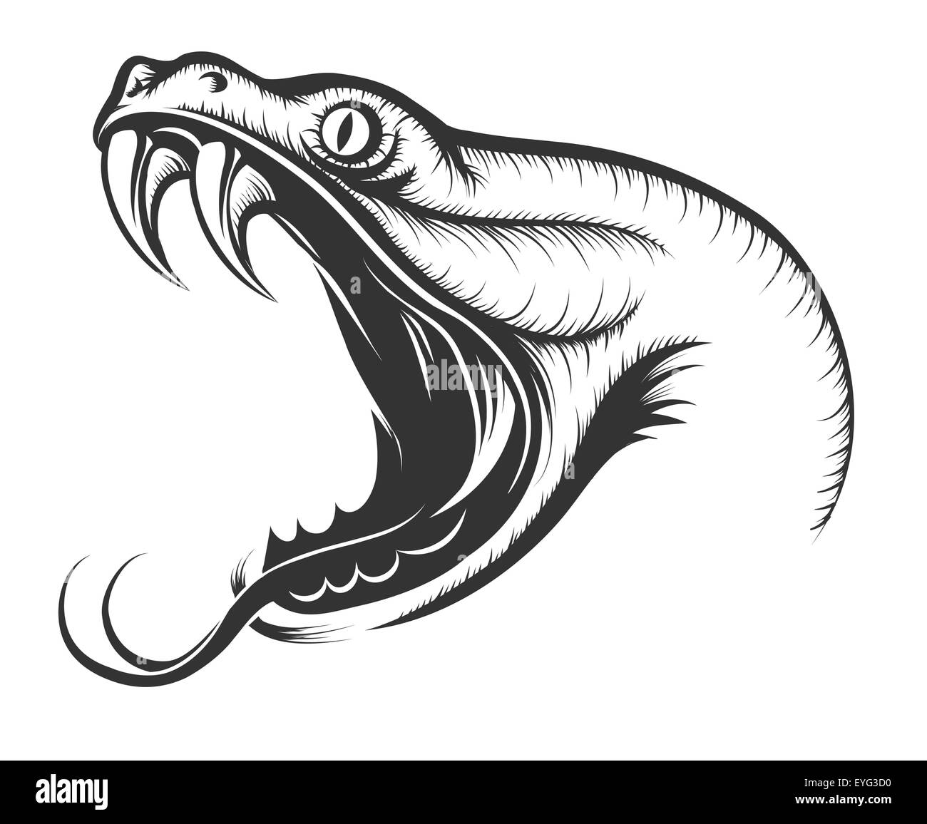 The head of Snake. Engraving style. Isolated on white. Stock Vector
