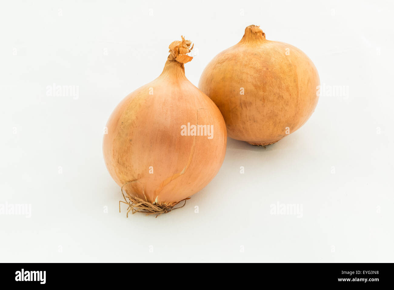 Onion isolated on white background Stock Photo - Alamy