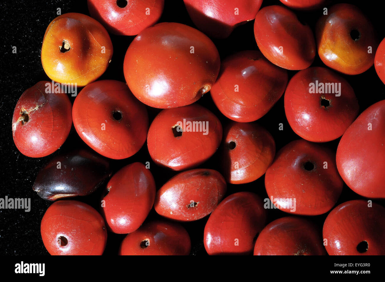 Colored Round Seeds Stock Photo