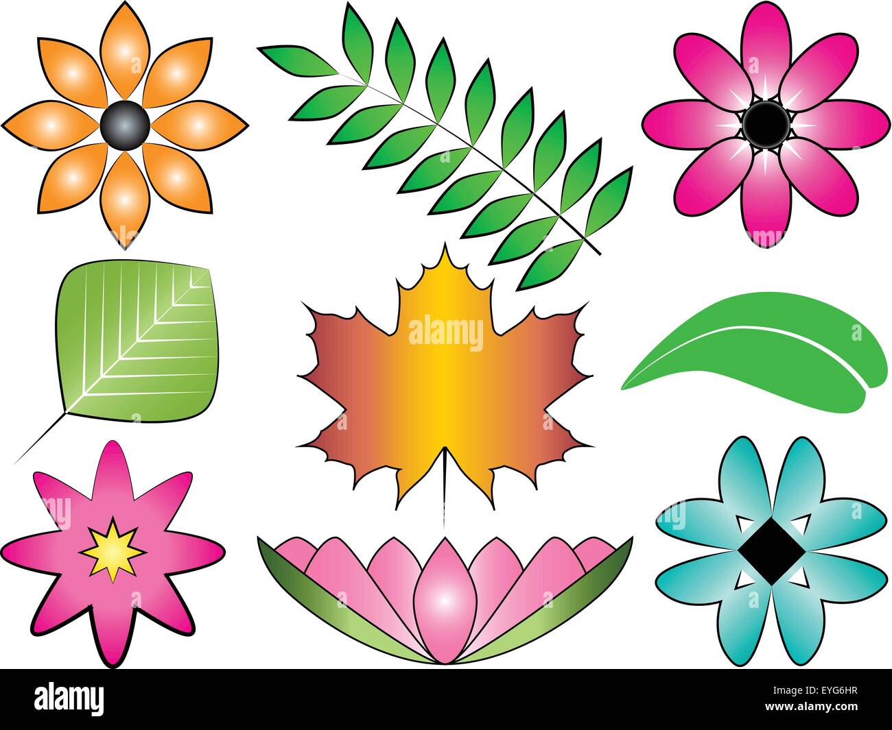 Parts of lotus flower Stock Vector Images - Alamy