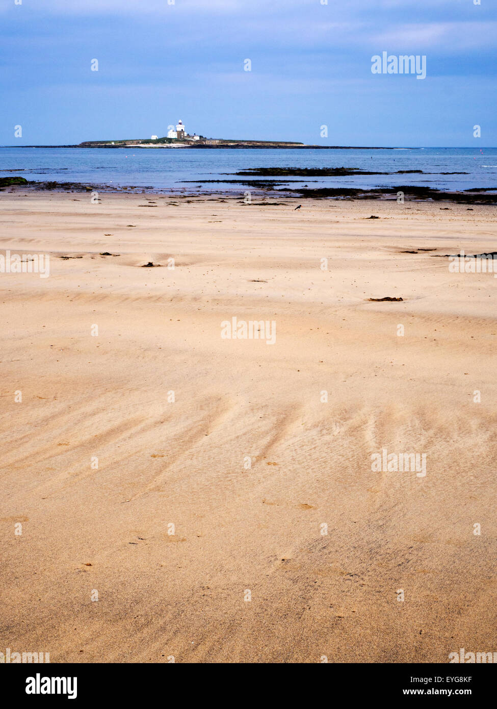 Coquet Island from Hauxley Beach Amble by the Sea Northumberland