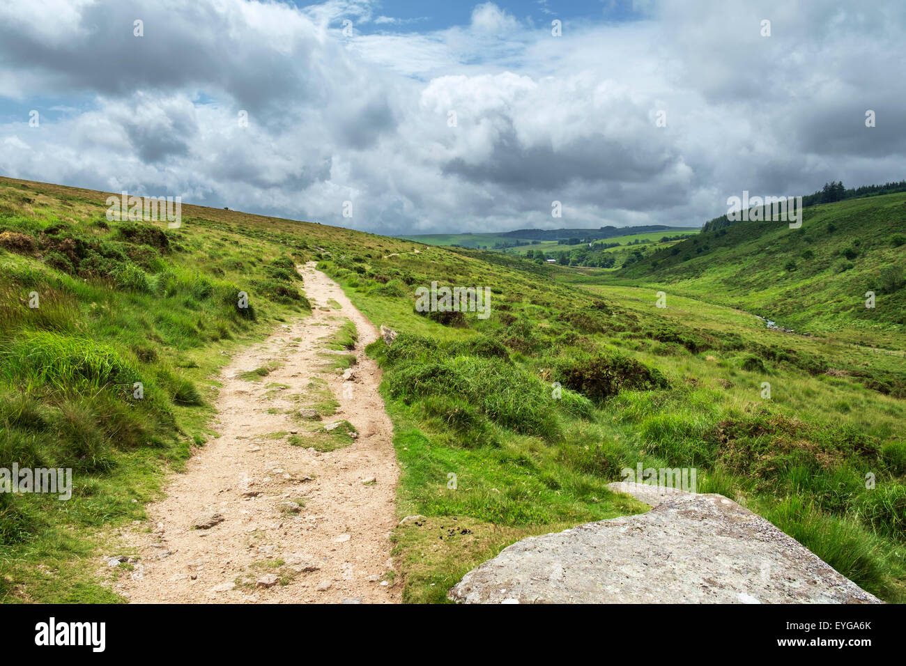 Footpath from Wistman's Wood to Two Bridges, Dartmoor, Devon, England, UK Stock Photo