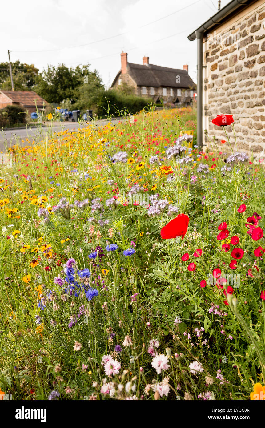 Roadside plants hires stock photography and images Alamy
