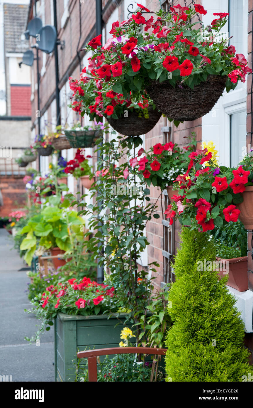 Hanging baskets growing in the Meadows, Nottingham England UK Stock