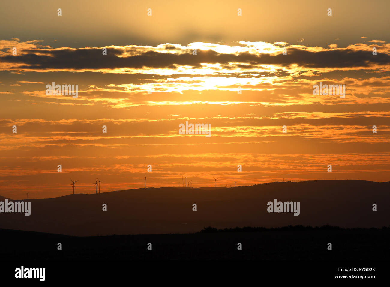 Ingelheim, Germany, overlooking the Taunus evening Stock Photo Alamy