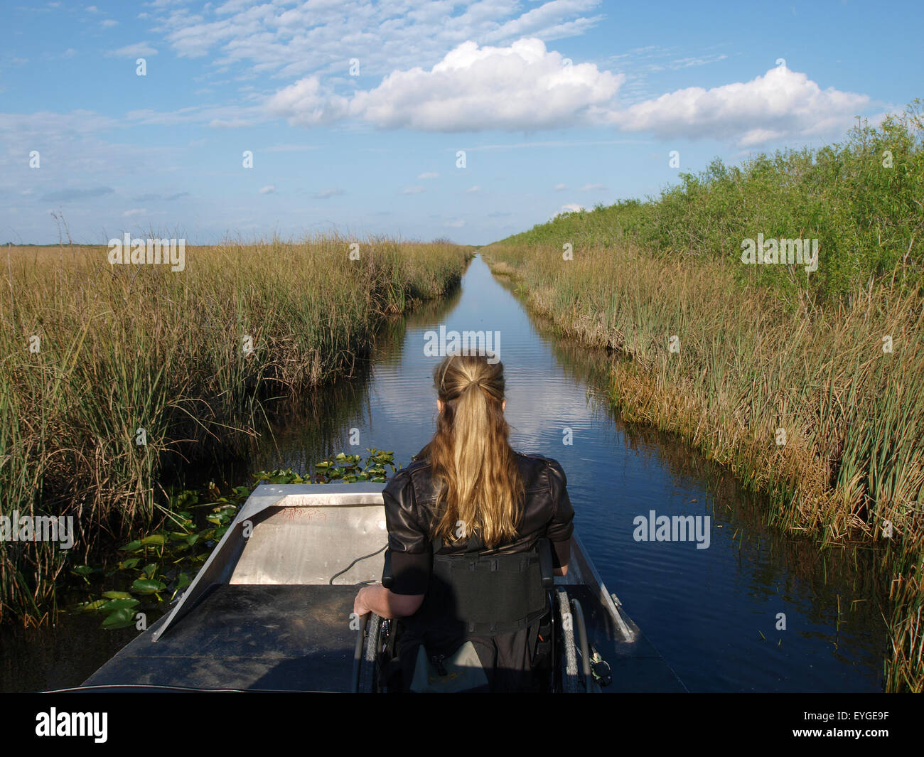 Woman using a wheelchair on an accessible airboat in the Florida Everglades Stock Photo Alamy