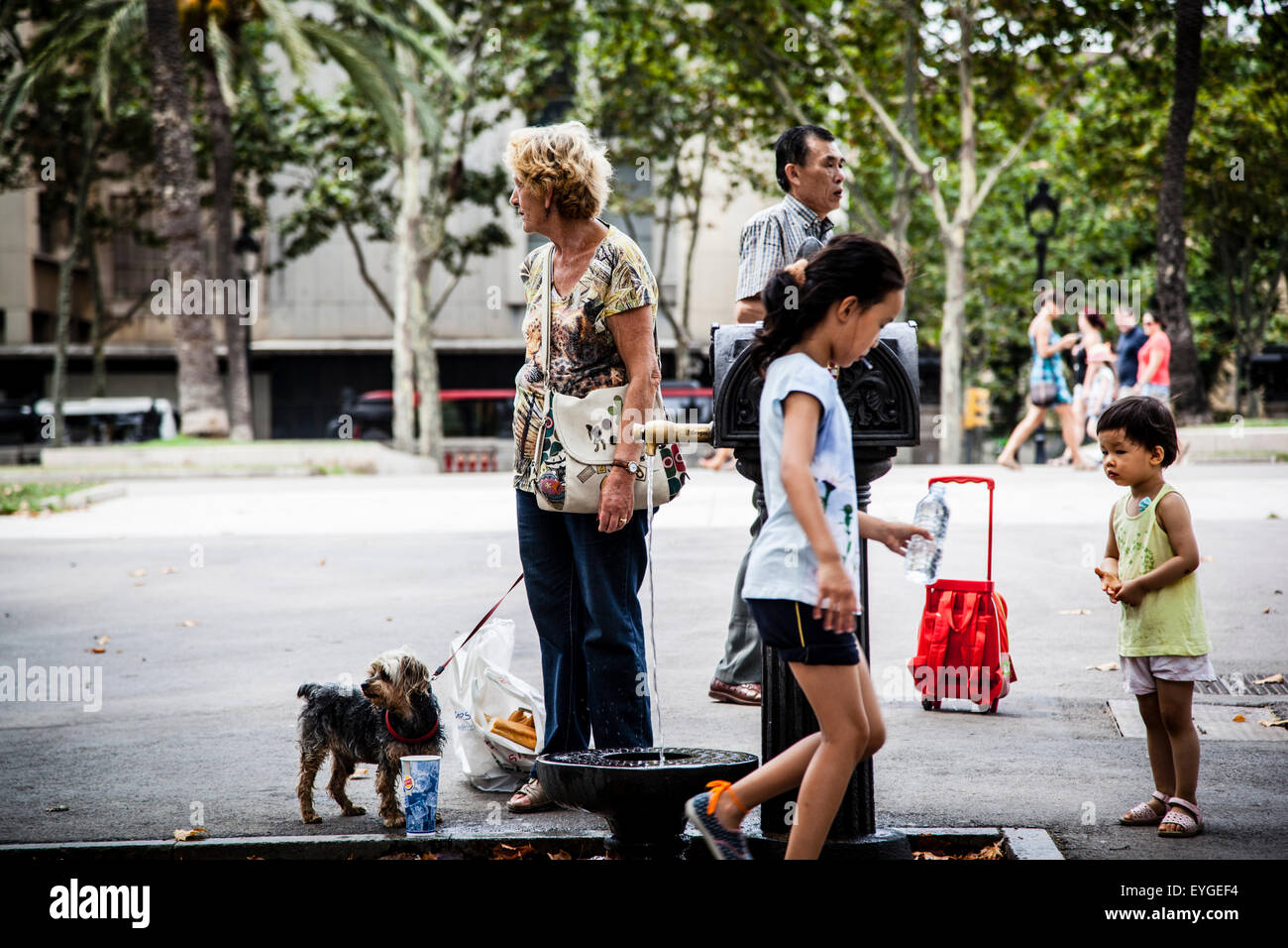 People drinking water from a street tap, Barcelona, Spain Stock Photo Alamy