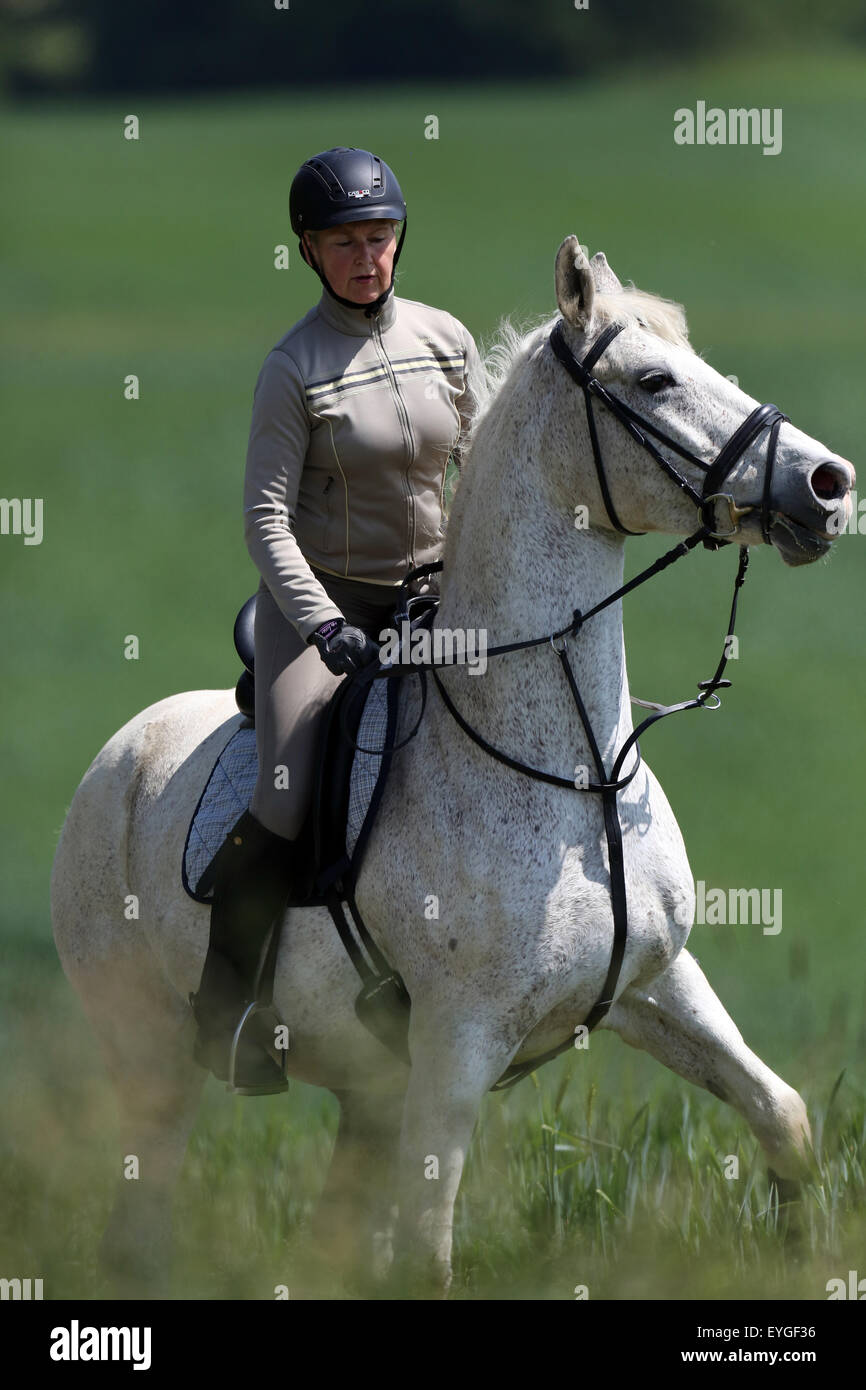 Oberoderwitz, Germany, woman gives her horse on horseback parade Stock Photo