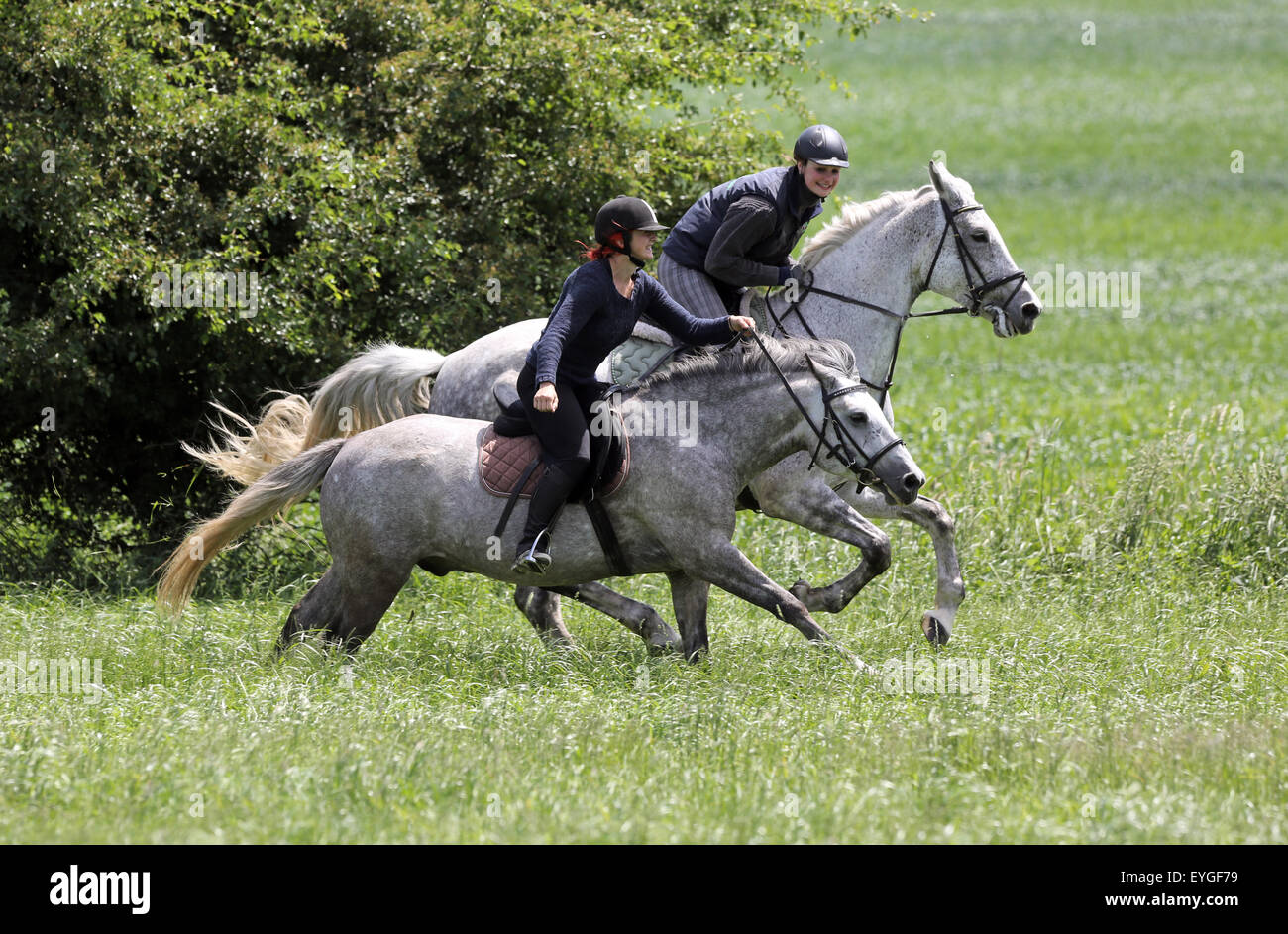 Oberoderwitz, Germany, female riding on their horses at a gallop around the bet Stock Photo