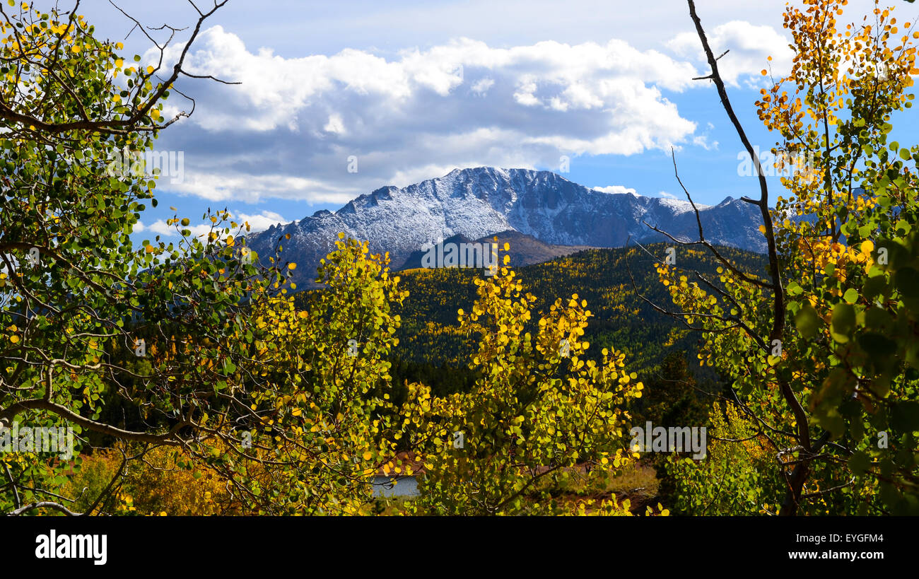 The flora surrounding Pikes Peak, Colorado Stock Photo