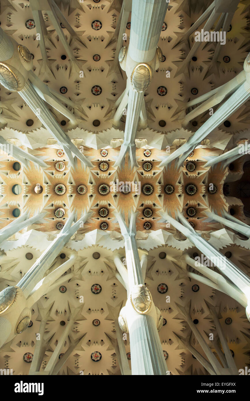Spain, Detail of Sagrada Familia ceiling; Barcelona Stock Photo