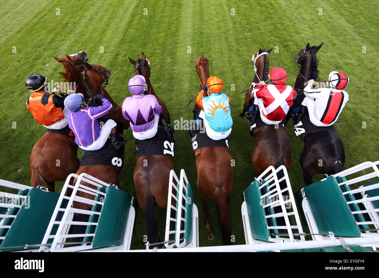 Hamburg, Germany, horses and jockeys at the start of a horse race Stock Photo