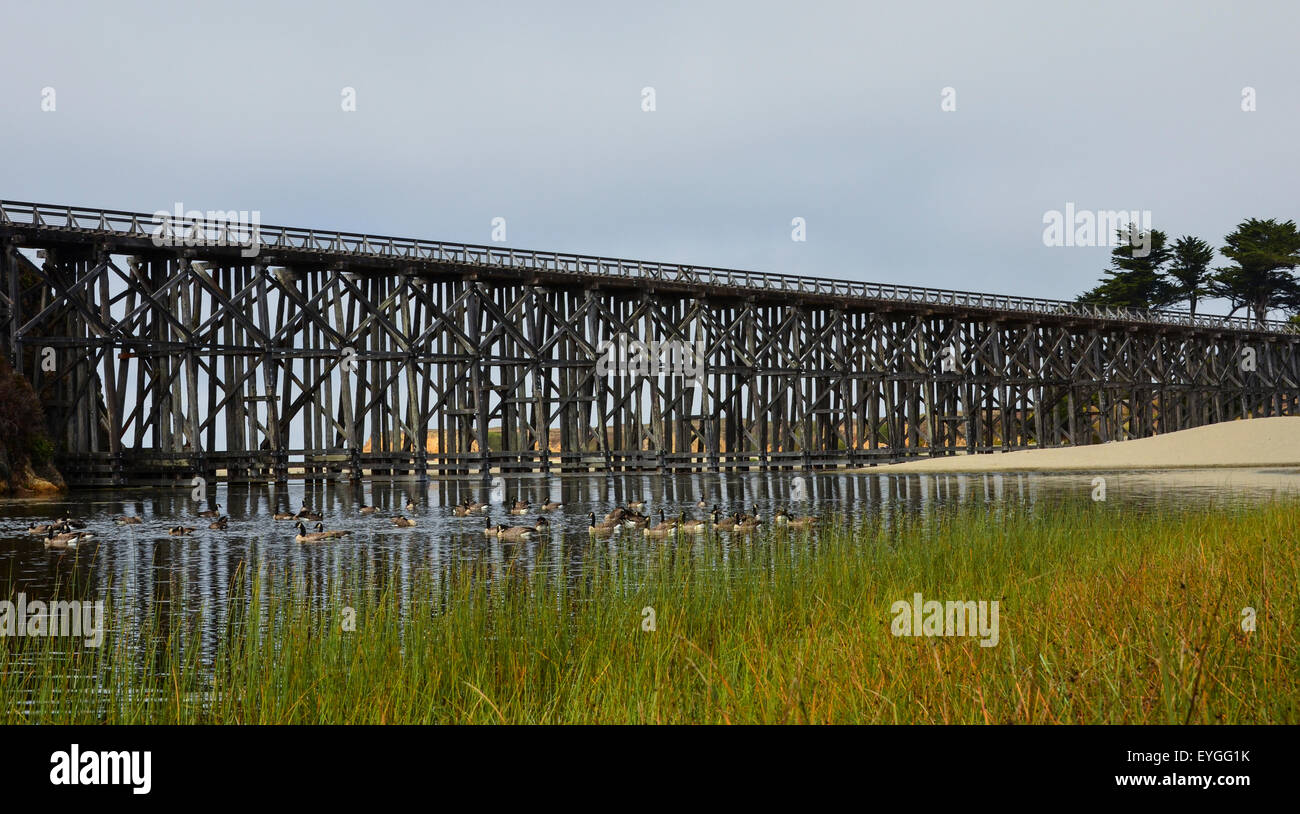 A railroad bridge near Ft Bragg CA Stock Photo