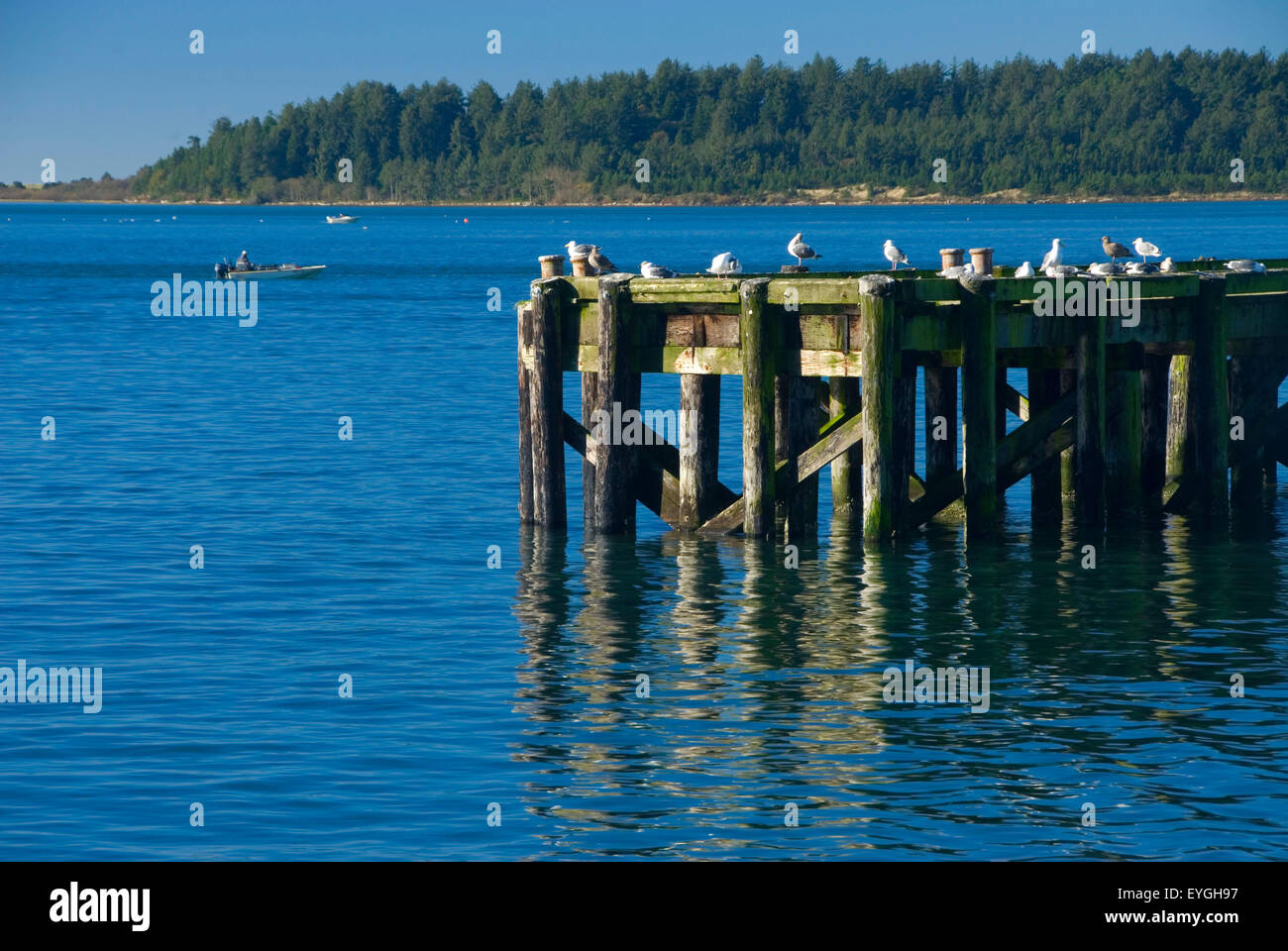 Pier, Garibaldi, Oregon Stock Photo Alamy