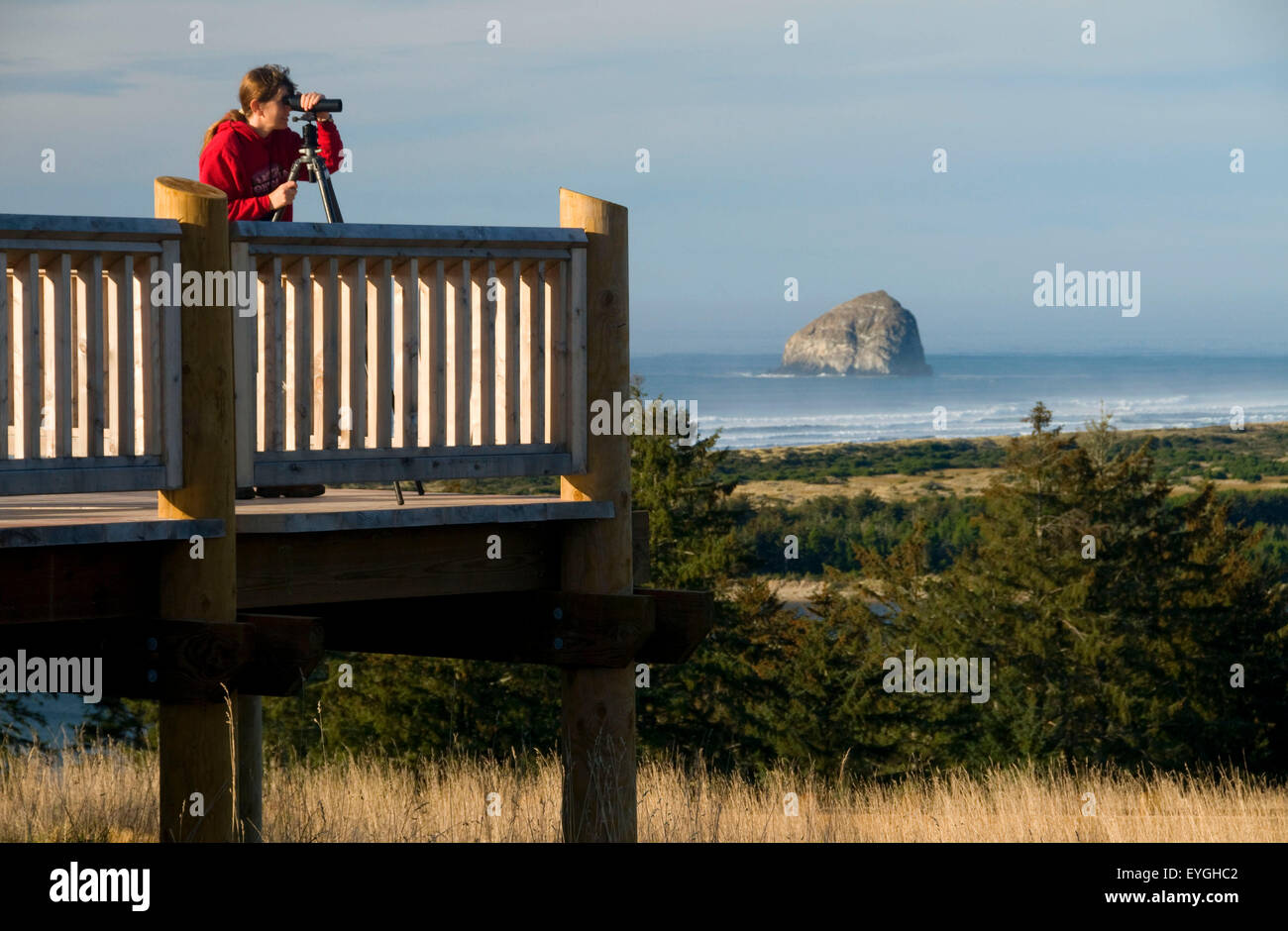 Observation deck on Pacific View Trail, Nestucca Bay National Wildlife Refuge, Oregon Stock Photo