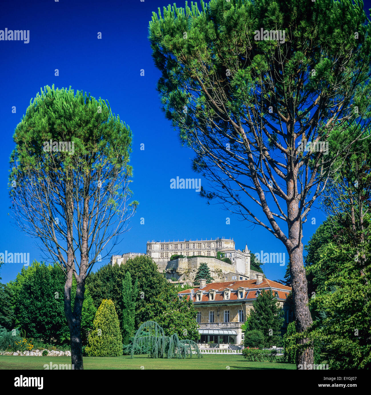 Hôtel 'Le Manoir de la Roseraie' and castle, pine trees, Grignan, Drôme, Provence, France, Europe, Stock Photo