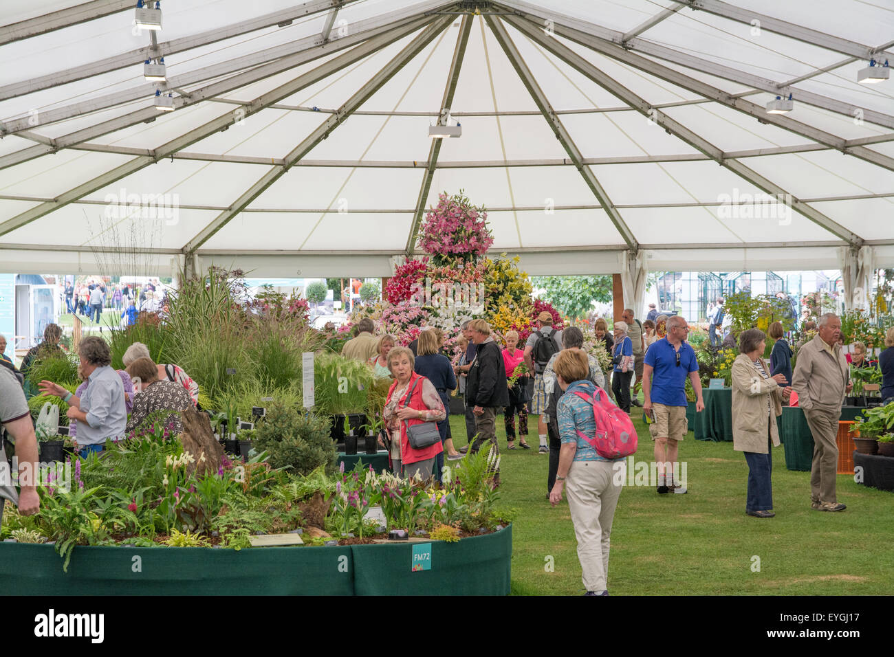 Indoor plant marquee RHS tatton flower show 2015 Stock Photo