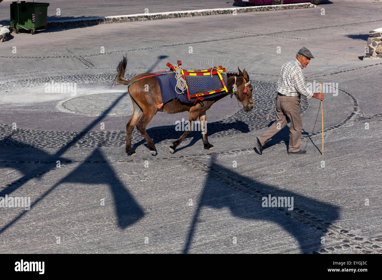 A man with a donkey crossing the street, the flag throwing shadows Oia, Santorini donkey, Greek Island, Greece economy Stock Photo
